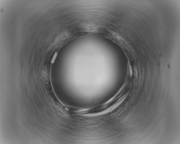 X0000065230609200602171400