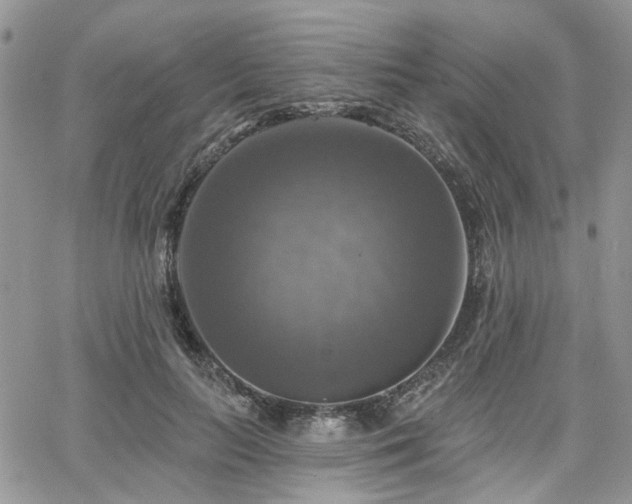 X0000065230647200602171400