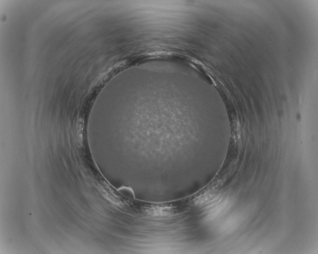X0000065230664200602171400