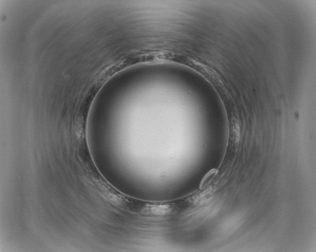 X0000065230665200602171400