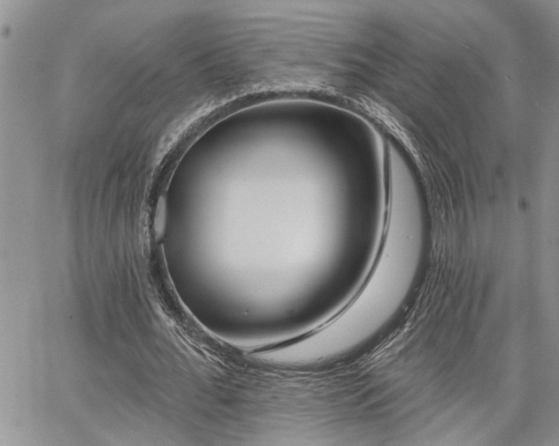 X0000065230676200602171359