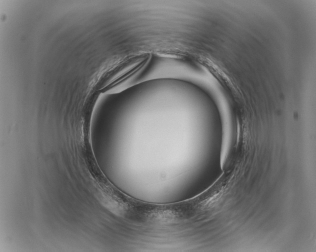 X0000065230685200602171359