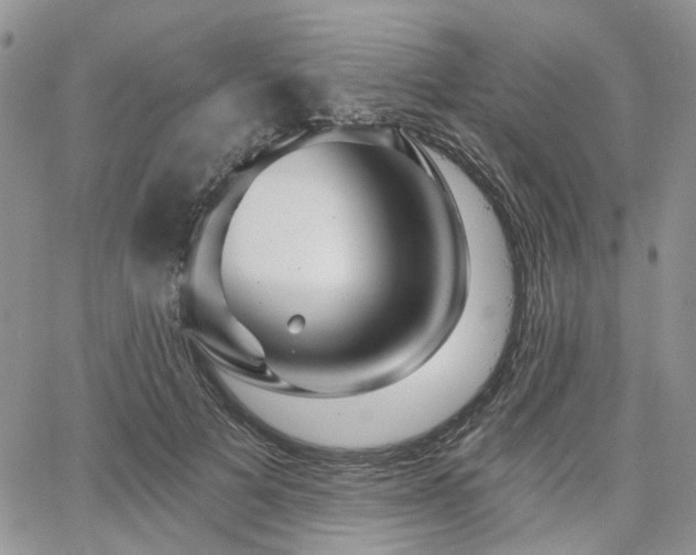 X0000065230697200602171359
