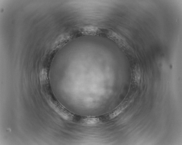 X0000065230711200602171359