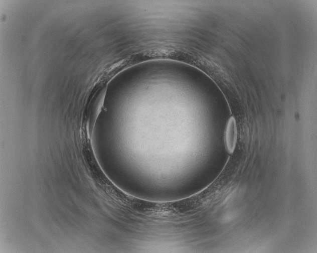 X0000065230743200602171358