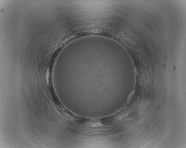 X0000065230747200602171358