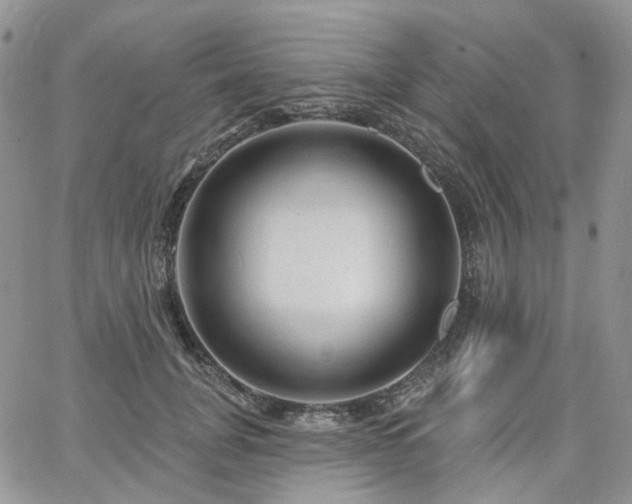 X0000065230751200602171358