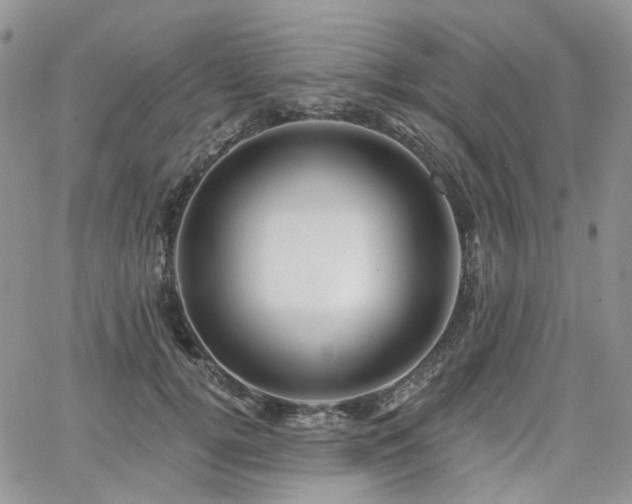 X0000065230752200602171358