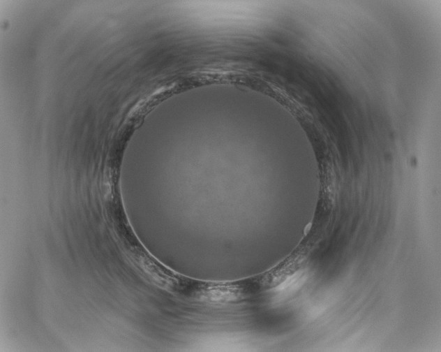 X0000065230758200602171358