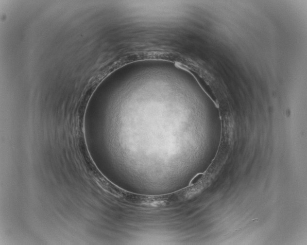 X0000065230760200602171358