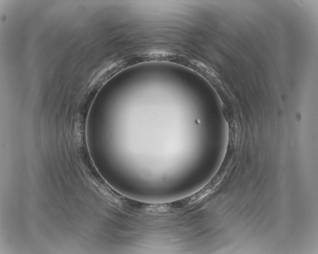 X0000065230762200602171358