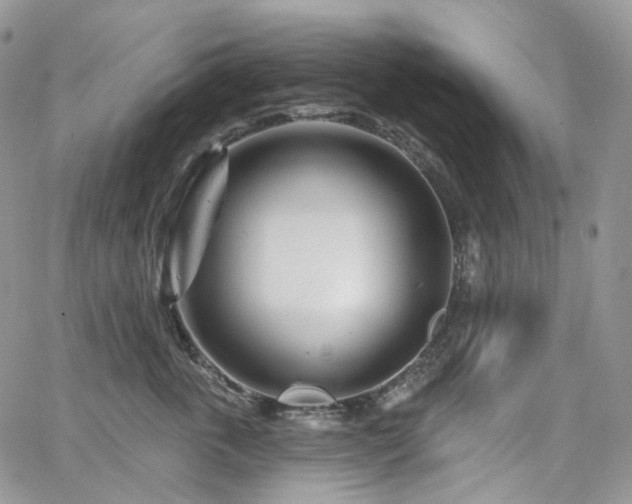 X0000065230763200602171358