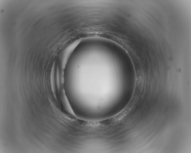 X0000065230767200602171358
