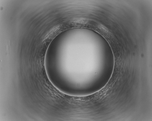 X0000065230774200602171358