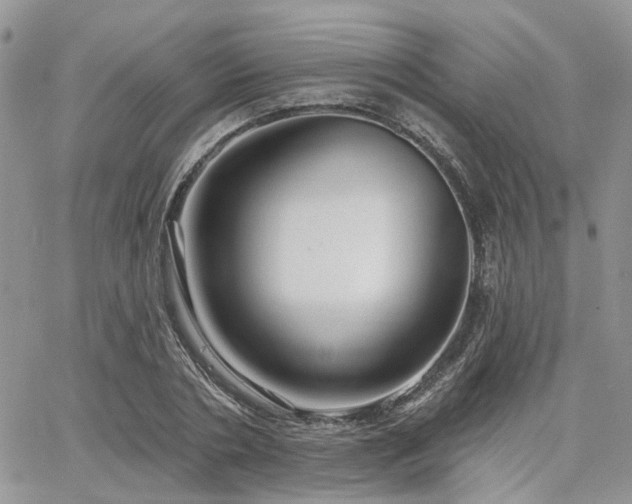 X0000065230786200602171357