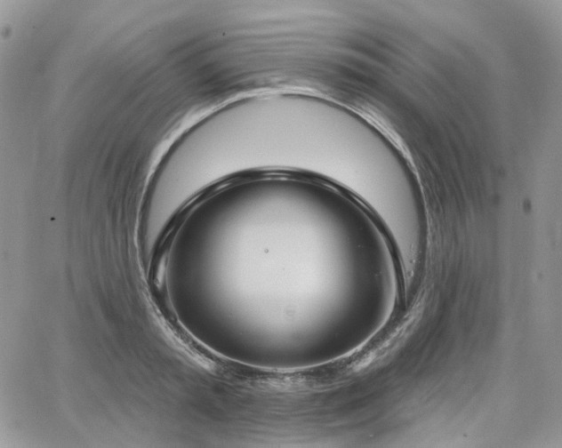 X0000065230797200602171357