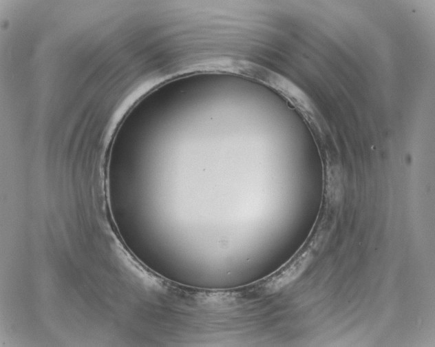 X0000065230808200602171357