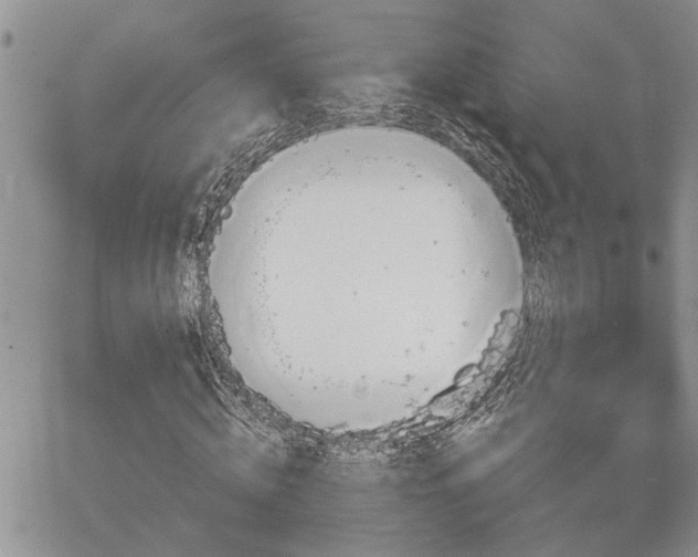 X0000065230820200602171356