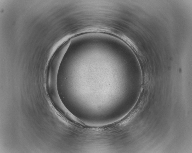 X0000065230854200602171357