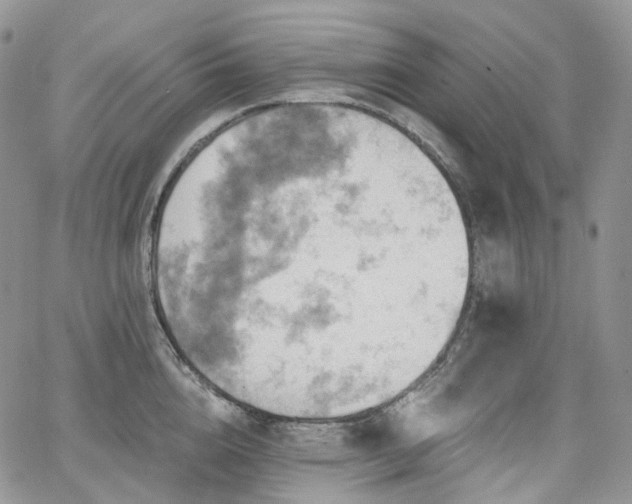 X0000065230856200602171357