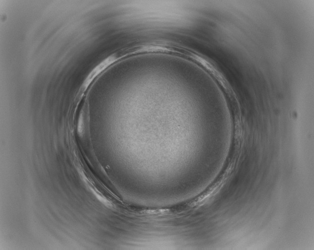 X0000065230858200602171357
