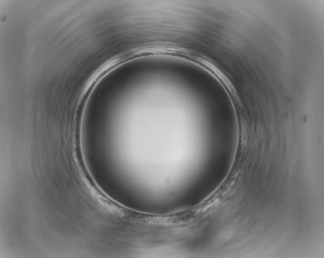 X0000065230861200602171357