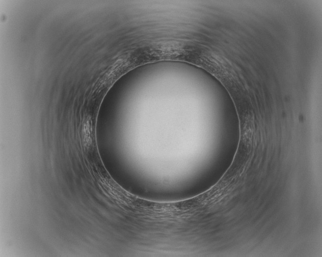X0000065230866200602171356