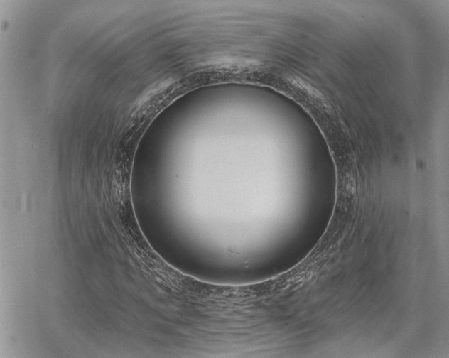 X0000065230869200602171356