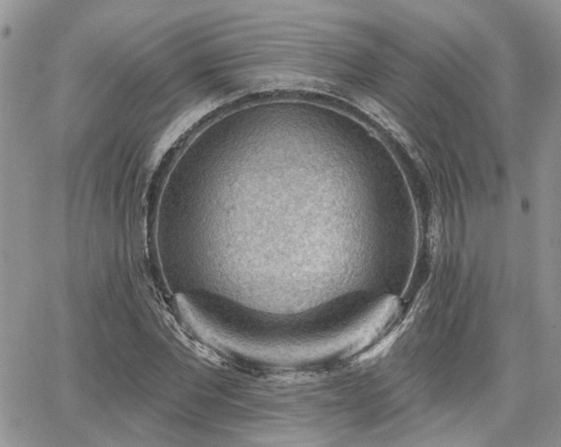X0000065230877200602171356