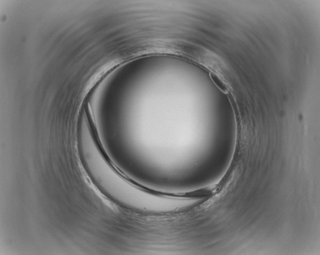 X0000065230898200602171355