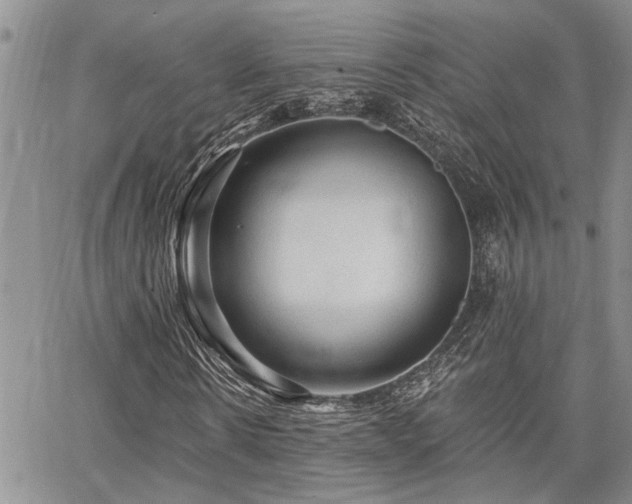 X0000065230914200602171354