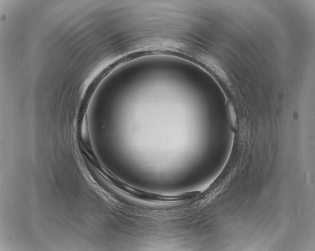 X0000065230936200602171355