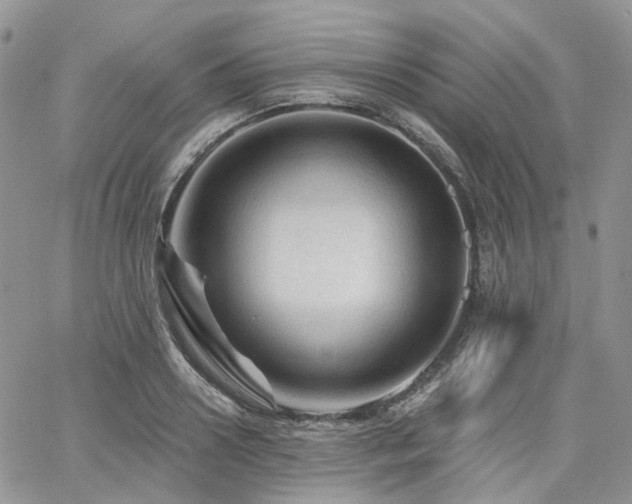 X0000065230938200602171355