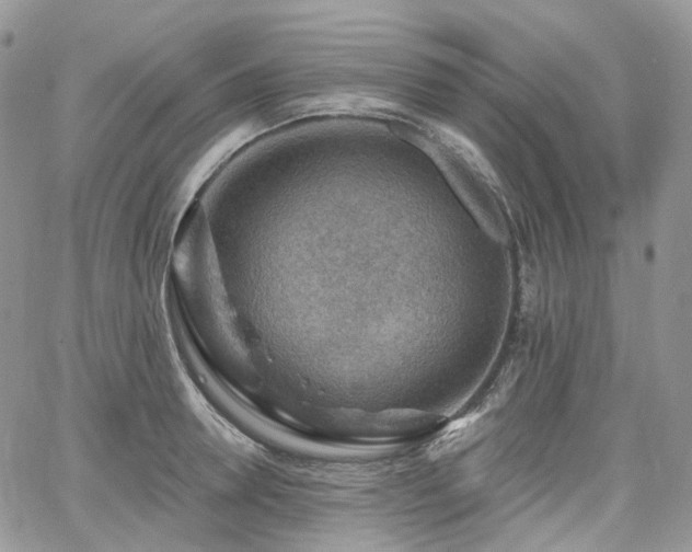 X0000065230946200602171355