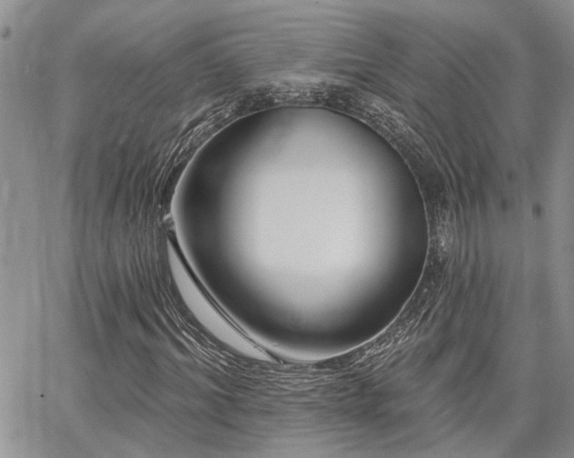 X0000065230964200602171354