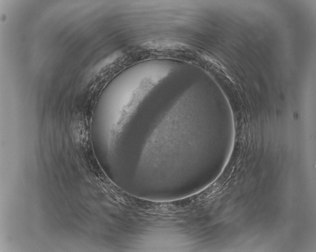 X0000065230966200602171354