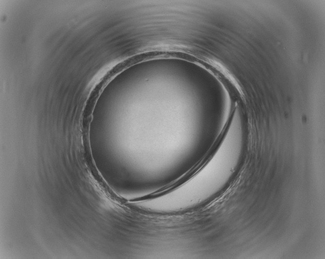 X0000065230972200602171354
