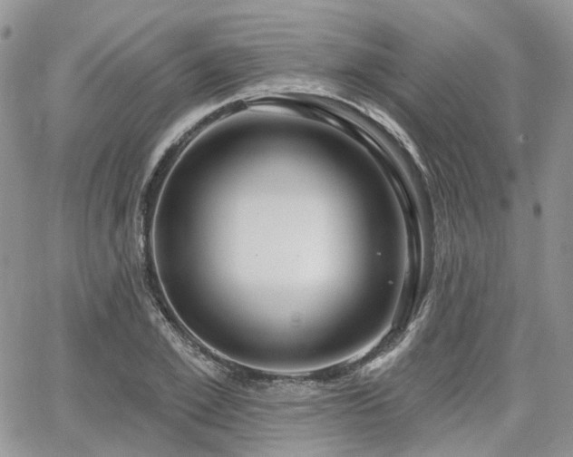 X0000065230981200602171354
