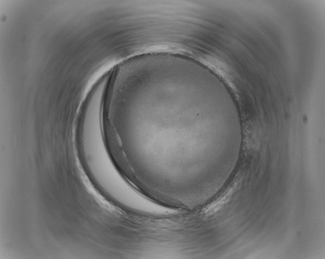 X0000065230991200602171354