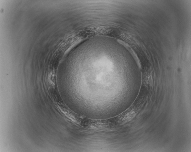 X0000065231010200602171353