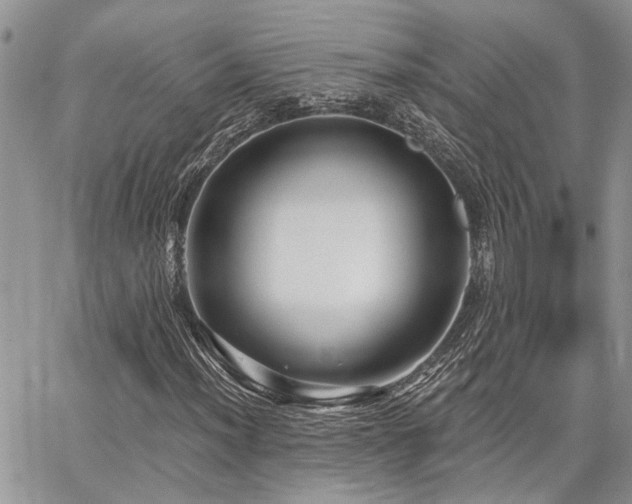 X0000065231012200602171353