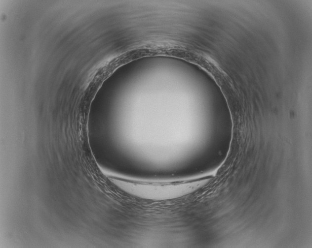 X0000065231016200602171353