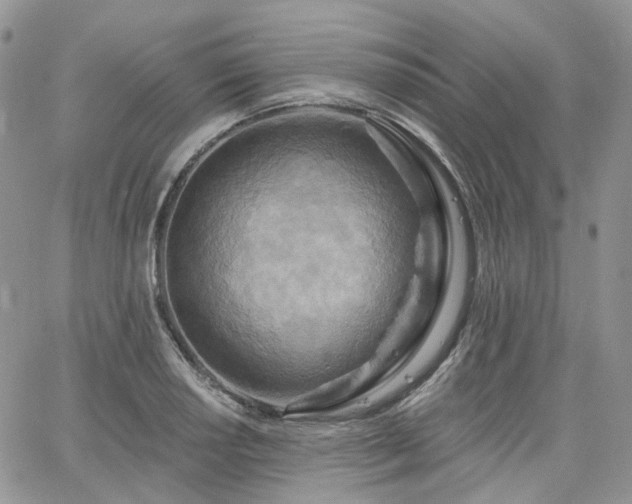 X0000065231034200602171353