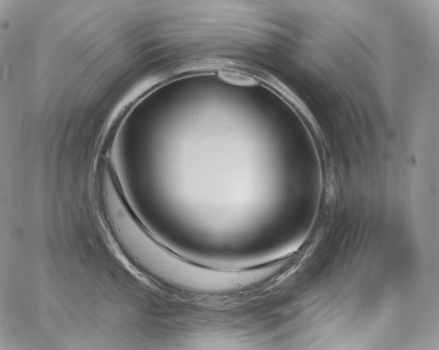 X0000065231053200602171354