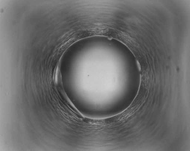 X0000065231058200602171353