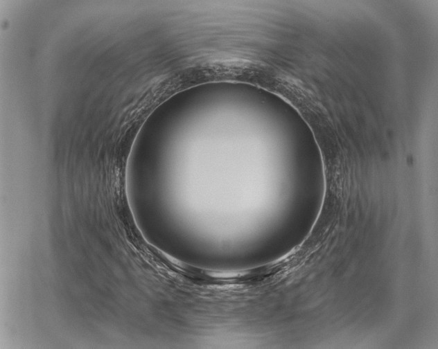 X0000065231061200602171353