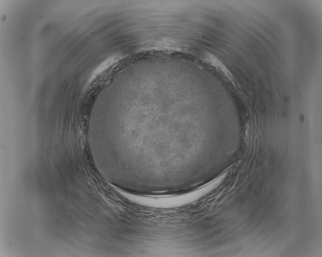 X0000065231064200602171353