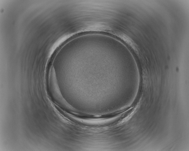 X0000065231077200602171352