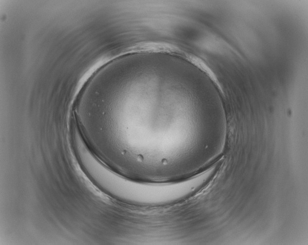 X0000065231091200602171352
