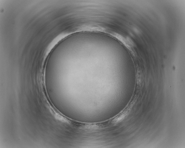 X0000065231094200602171352